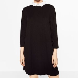 ZARA collar poplin dress